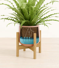 Load image into Gallery viewer, Calm Rose stand:bamboo
