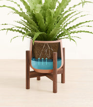 Load image into Gallery viewer, Calm Rose stand:walnut
