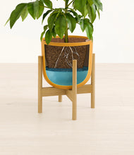 Load image into Gallery viewer, Sunset Orange stand:bamboo
