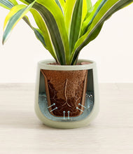 Load image into Gallery viewer, Turquoise stand:all
