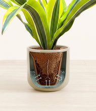 Load image into Gallery viewer, Sage Green stand:all
