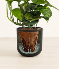 Lade das Bild in den Galerie-Viewer, Stone Black stand:all
