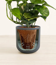 Lade das Bild in den Galerie-Viewer, Iron Gray stand:all
