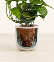 Lade das Bild in den Galerie-Viewer, Natural Bamboo stand:all
