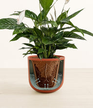 Lade das Bild in den Galerie-Viewer, Earth Red stand:all
