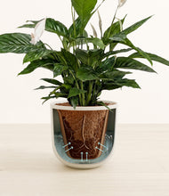 Lade das Bild in den Galerie-Viewer, Natural Bamboo stand:all

