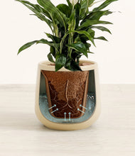 Lade das Bild in den Galerie-Viewer, Almond Green stand:all
