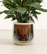 Load image into Gallery viewer, Almond Green stand:all
