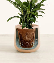 Lade das Bild in den Galerie-Viewer, Gentle Pink stand:all
