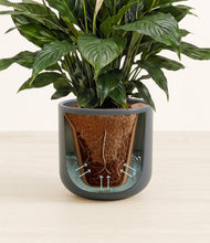 Load image into Gallery viewer, Iron Gray stand:all
