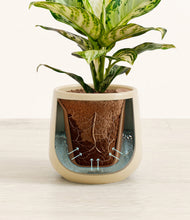 Lade das Bild in den Galerie-Viewer, Almond Green stand:all
