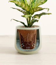 Lade das Bild in den Galerie-Viewer, Turquoise stand:all
