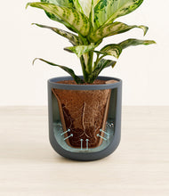 Lade das Bild in den Galerie-Viewer, Iron Gray stand:all
