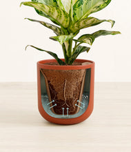 Lade das Bild in den Galerie-Viewer, Earth Red stand:all
