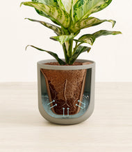 Lade das Bild in den Galerie-Viewer, Sage Green stand:all
