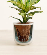 Lade das Bild in den Galerie-Viewer, Natural Bamboo stand:all

