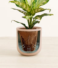 Lade das Bild in den Galerie-Viewer, Sandy Pink stand:all
