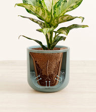 Charger l'image dans la galerie, Reactive Aqua stand:all

