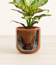 Charger l'image dans la galerie, Glossy Red stand:all
