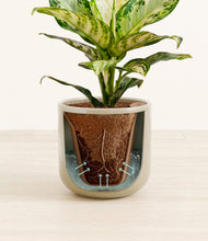 Charger l'image dans la galerie, Sage Green stand:all
