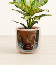 Charger l'image dans la galerie, Sandy Pink stand:all
