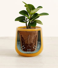 Load image into Gallery viewer, Mustard stand:all
