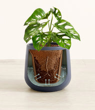 Lade das Bild in den Galerie-Viewer, Deep Navy stand:all
