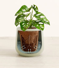 Lade das Bild in den Galerie-Viewer, Turquoise stand:all
