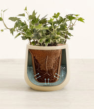 Charger l'image dans la galerie, Almond Green stand:all
