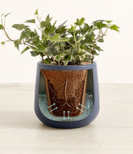 Charger l'image dans la galerie, Deep Navy stand:all
