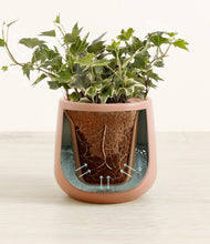 Charger l'image dans la galerie, Calm Rose stand:all
