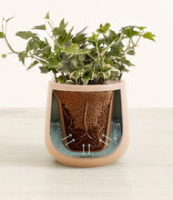 Charger l'image dans la galerie, Gentle Pink stand:all
