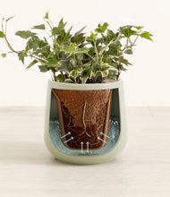 Charger l'image dans la galerie, Turquoise stand:all
