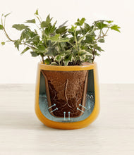 Charger l'image dans la galerie, Mustard stand:all
