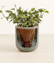 Load image into Gallery viewer, Sage Green stand:all
