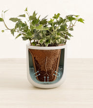 Load image into Gallery viewer, Natural Bamboo stand:all
