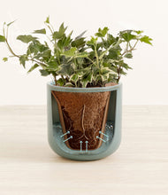 Charger l'image dans la galerie, Reactive Aqua stand:all
