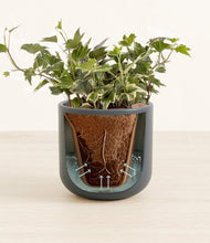 Charger l'image dans la galerie, Iron Gray stand:all
