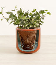 Charger l'image dans la galerie, Glossy Red stand:all
