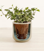 Charger l'image dans la galerie, Sage Green stand:all
