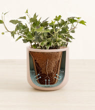 Charger l'image dans la galerie, Sandy Pink stand:all
