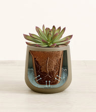 Load image into Gallery viewer, Olive stand:all
