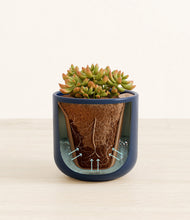Load image into Gallery viewer, Twilight Blue stand:all

