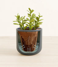 Load image into Gallery viewer, Iron Gray stand:all
