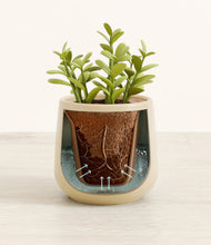 Load image into Gallery viewer, Almond Green stand:all
