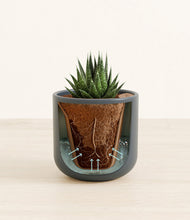 Load image into Gallery viewer, Iron Gray stand:all
