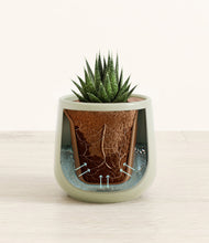 Load image into Gallery viewer, Turquoise stand:all
