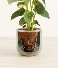 Load image into Gallery viewer, Sage Green stand:all
