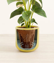 Load image into Gallery viewer, Key Lime Yellow stand:all
