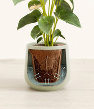 Load image into Gallery viewer, Turquoise stand:all
